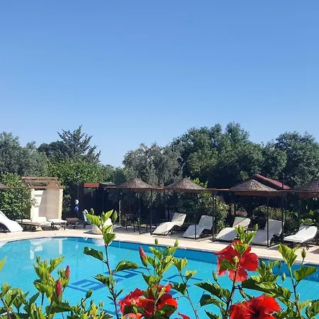 Lapida Garden * Lapithos (Northern Cyprus)